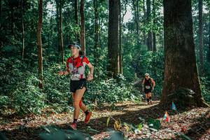 BIB: 
                            <button type="button" onclick="openModal(26129676)" class="btn btn-primary btn-sm float-right btn-popup" data-toggle="modal" data-target=".modal-high-quality">
                        <i class="fas fa-shopping-cart"></i> Add to Cart
                    </button>
                                            <button type="button" onclick="isThisMe(26129676, true)" class="btn btn-success btn-sm float-right btn-popup btn-isme hidden" data-toggle="tooltip" data-placement="bottom" title="นี่คือรูปของคุณใช่ไหม คลิกที่นี่เพื่อเอาเข้าอัลบั้ม">
                        <i class="fas fa-plus"></i> Add to album
                    </button>
                    <button type="button" onclick="isThisMe(26129676, false)" class="btn btn-warning btn-sm float-right btn-popup btn-isnotme hidden">
                        <i class="fas fa-ban"></i> Remove from album
                    </button>